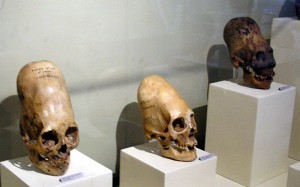ParacasSkullsIcaMuseum