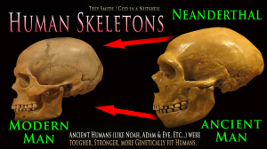 neanderthal-skull