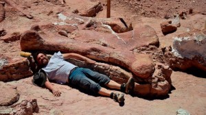 HT_MEF_argentina_dinosaur_fossil_2_jt_140517_16x9_992