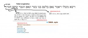 Open-eye-Torah-ha-ajin