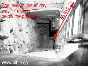 bible-archeology-jerusalem-temple-mount-55-feet-higher