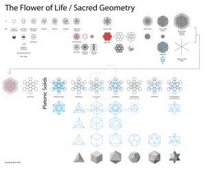 flower_of_life___sacred_geometry_by_fbdesign-d5ttk02