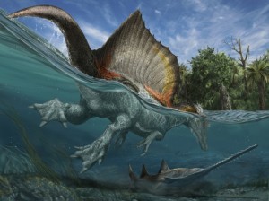 spinosaurus-swimming