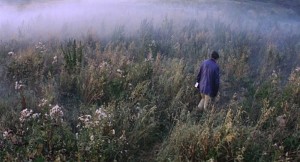solaris-plants02